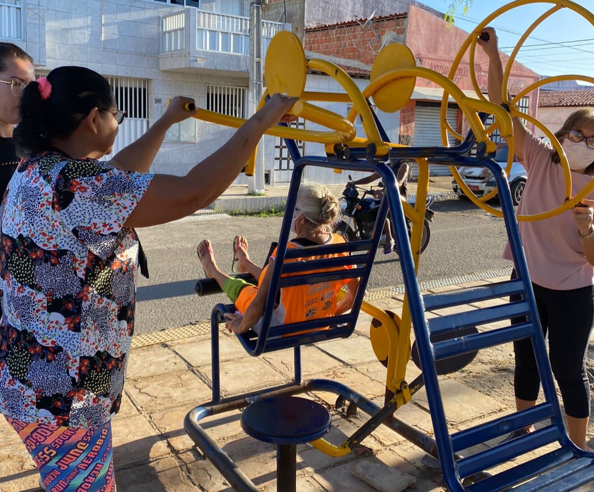 A PRÁTICA DE ATIVIDADES E EXERCÍCIOS FÍSICOS REALIZADOS POR IDOSOS QUE  FREQUENTAM UM PROGRAMA MUNICIPAL DE CONVIVÊNCIA E O PAPEL DO PROFISSIONAL  DE EDUCAÇÃO FÍSICA NESSE CONTEXTO